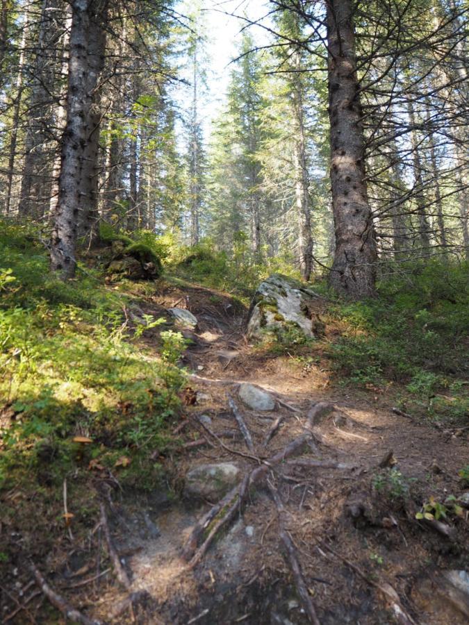 Han Sylte Heimen Fauske Eksteriør bilde
